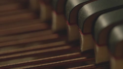 Detailed View of Piano Hammers and Strings
