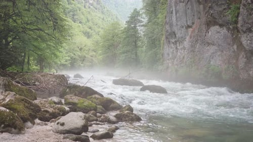 Mountain River Flowing Between Rocky Shores in Woodland at Sunrise in Foggy Weather