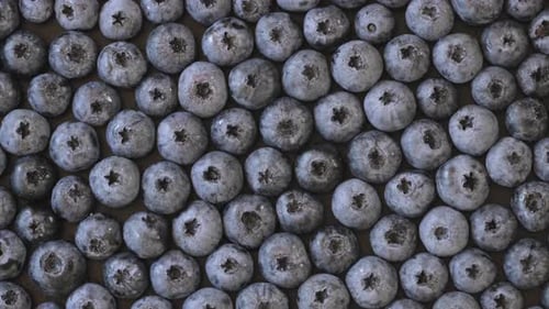 Fresh Blueberries Overhead Close Up Food