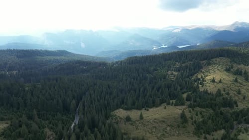 Scenic Aerial View of Evergreen Forest and Mountains