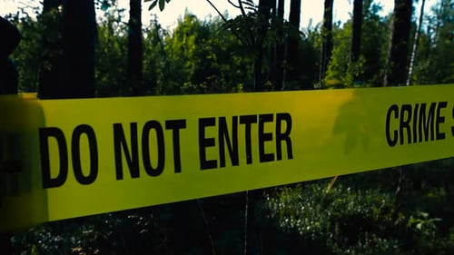 Police investigator unrolls and pulls a crime scene forensics tape in front of a sunny forest area.