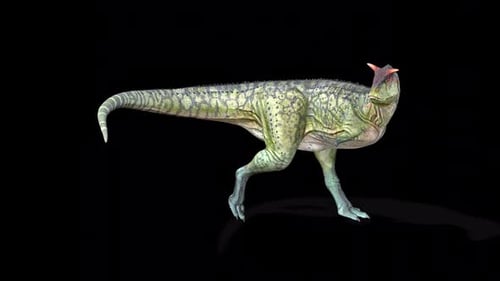 Carnotaurus Dinosaur Walk Idle 3