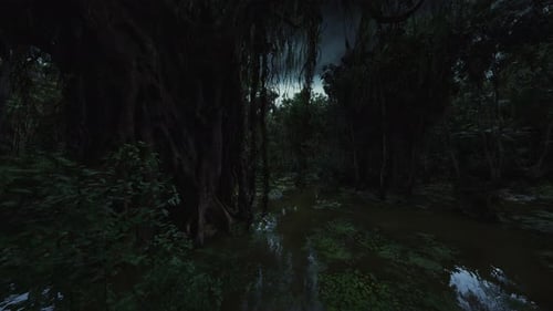 Paysage de mangrove inquiétant sous une faible lumière du soir bleu-vert