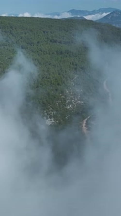 Vertical Video Floating Clouds Above Green Forests in the Mountains Create Stunning Natural Views