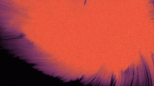 Lebendige Farben gepaart mit luxuriösen Fransen und kontrastierenden dunklen Hintergründe