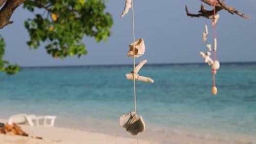 Closeup of Seashells and Corals on Rope on Beach