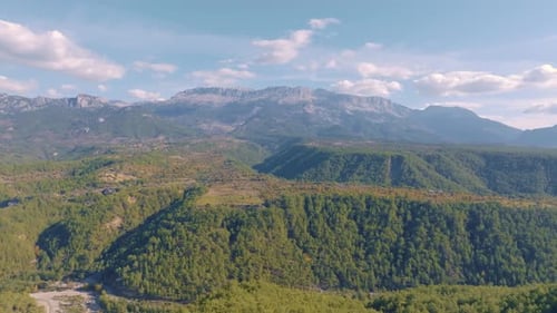 Drone Video Footage of Green Trees on a Hill Against a Blue Sky