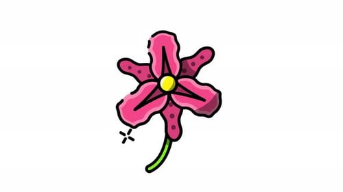 Animated Decorative Pink Flower Icon Animation