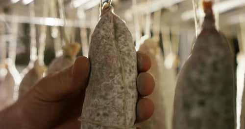 Hand Holds Cured Sausage in Food Still Life