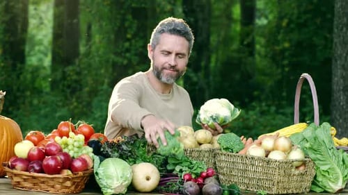 Farmer Harvesting Fresh Vegetables in a Rural Plantation Agronomist with Nutritious Produce on