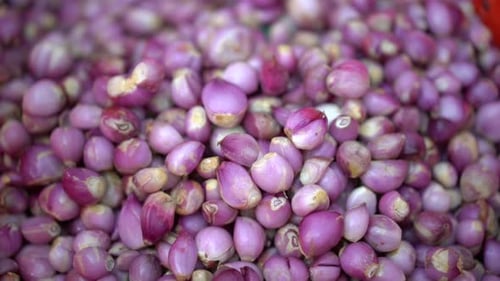Fresh red onion