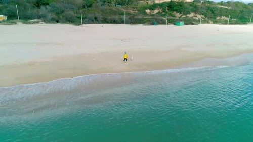 Aerial View of a Young Woman in Yellow Jacket Walking on Beach with Her Dog