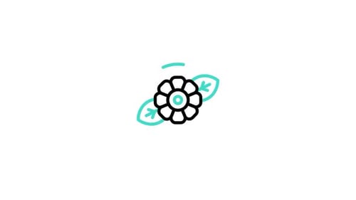 Flower Animated Icon