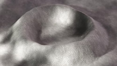 Leather Surface Smoothly Transforming Creating Intricate Shadow and Light Interplay Revealing Rich