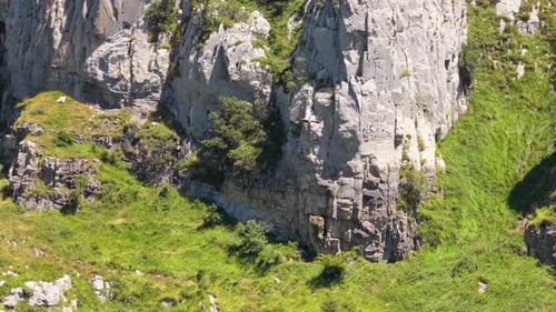 Buitre leonado volando sobre un cañón de las montañas rocosas en Creta