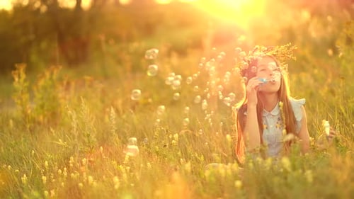 Girl on the Summer Meadow