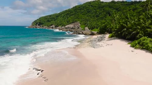 Green Hillside and Palm Trees with a Sandy Shore Seychelles Mahe