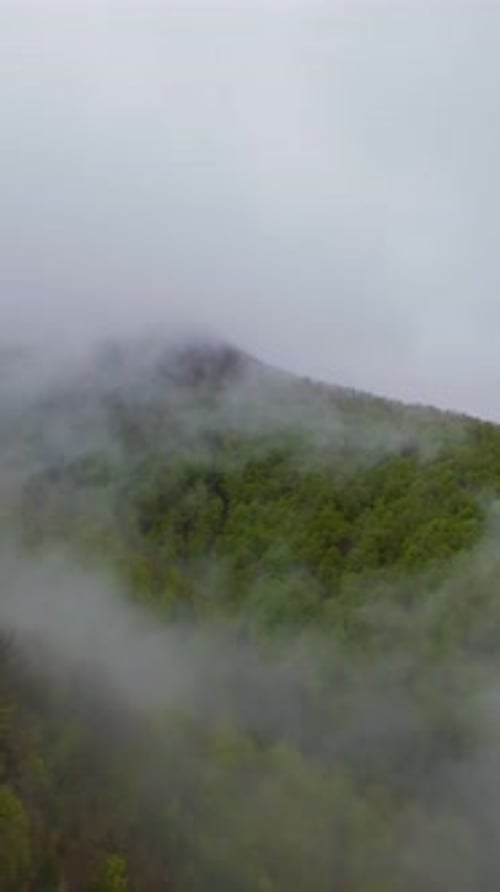Vertical Video Aerial View of Misty Green Mountains Covered with Lush Forest Fog Drifting Through