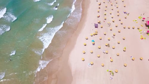 Tropical beach with colorful umbrellas - Top down aerial view