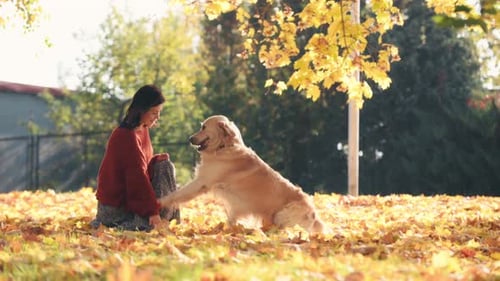 Pretty Girl with Golden Retriever Dog in Autumn Park