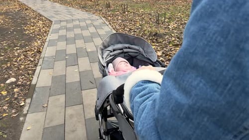 Young Mother Walking with Her Baby in Stroller in Autumn Park