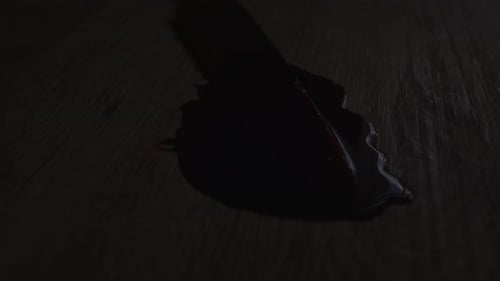 Cinematic dolly of a blood covered knife in a pool of blood on a grizzly crime scene