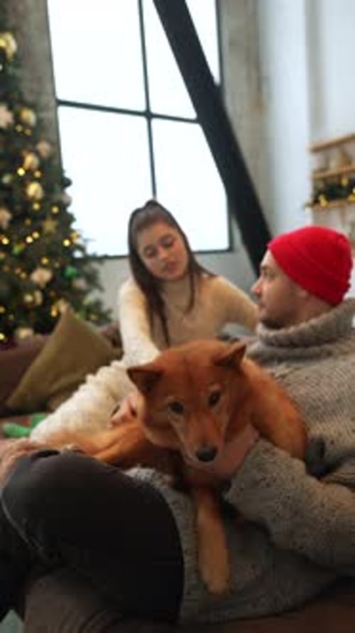 Couple Petting Dog Near Decorated Christmas Tree