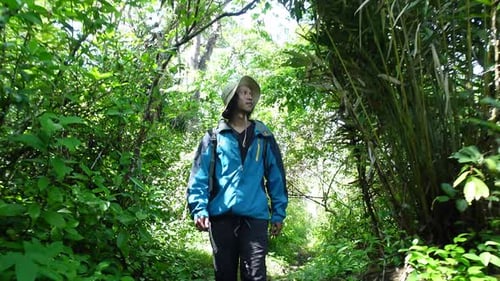 Man Hiking Through a Lush Green Forest in Outdoor Adventure Scene