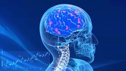 Digital Human Brain Scan with Neuron Activity and Data Visualization