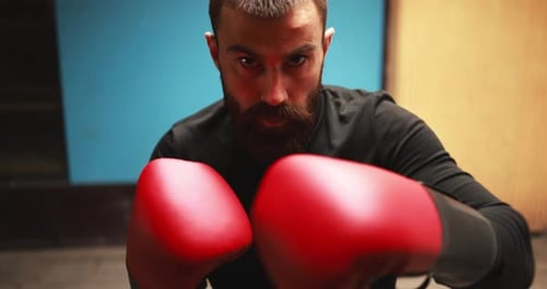 Serious Boxer Punches with Red Gloves in Gym