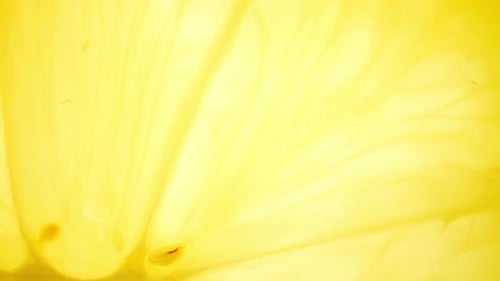 Close Up of a Lemon Slice