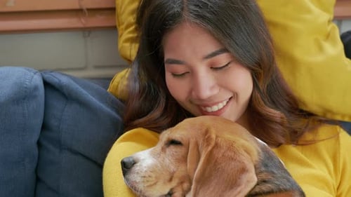 В своей гостиной женщина и ее собака-бигль дремлют вместе на диване, отражая связь