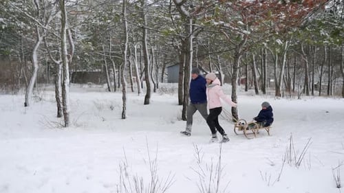 Family Pulling Child Sled Through Snowy Forest