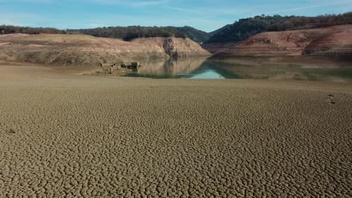 Swamp in Sau reservoir