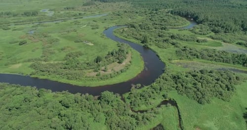 Nature Aerial View River Valley Beautiful View From Height of the Rivers Swamps and Green Forests