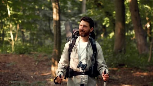 Man Enjoying Hiking in the Forest With Backpack and Walking Sticks During a Sunny Day