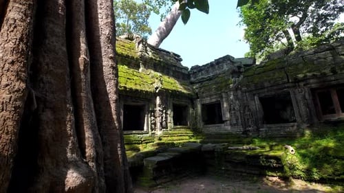 Explorez Ta Prohm, le temple emblématique de Tomb Raider au Cambodge, dans un cadre de jungle luxuriante