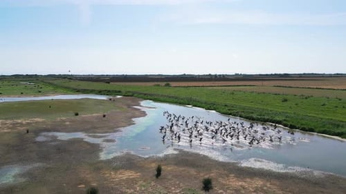 Aerial video showcases the richness of saltwater marshlands on the Lincolnshire coast, featuring sea