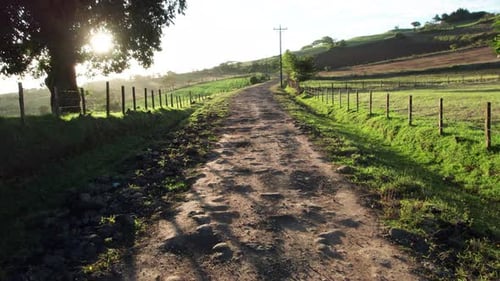 Camino Rural Costa Rica Cartago