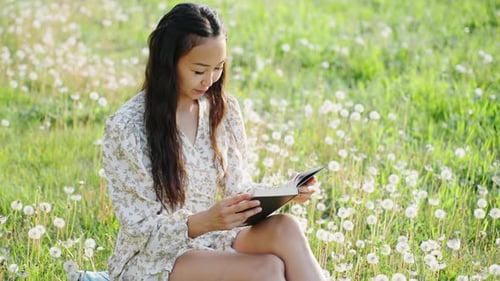 Woman Reads a Book in Dandelion Meadow
