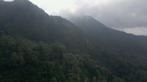Flying over rainforest in mountain range in foggy morning