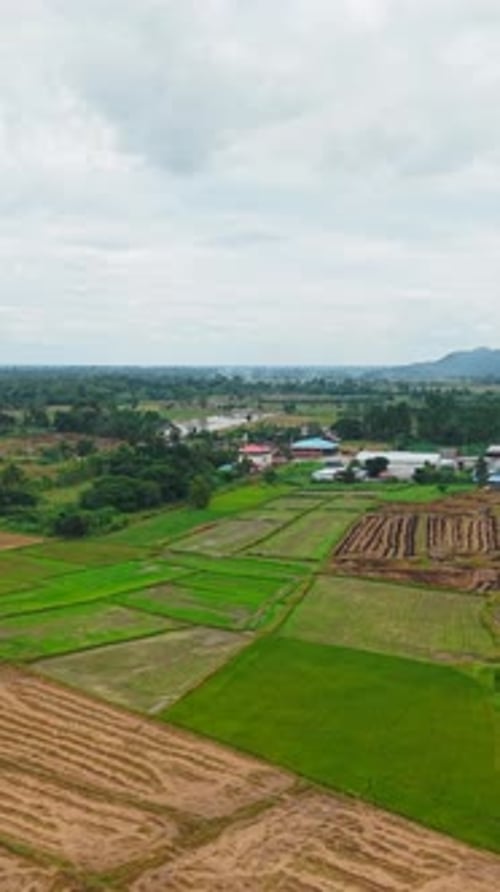 Patchwork of Agricultural Fields from Above