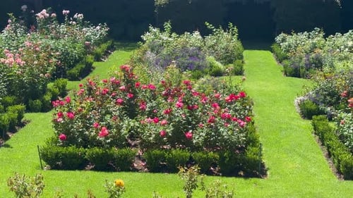 A rose garden in a plush Home