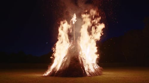 Abends brennt ein Lagerfeuer im Wald
