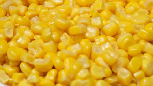 Macro Shot of Boiled Corn Seeds