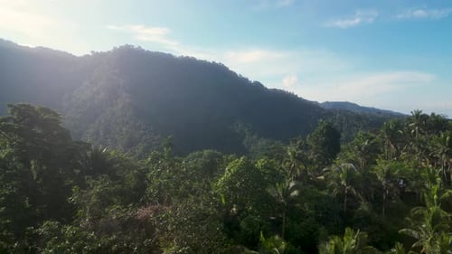 Aerial View of a Tropical Mountain in Southeast Asia Covered with Lush Forest