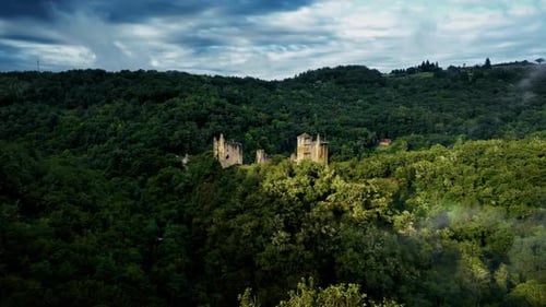castle in a forest