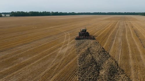 Disking the Field Big Red Tractor Cultivating Land of Disc Harrow Tractor at a Disking of Ground