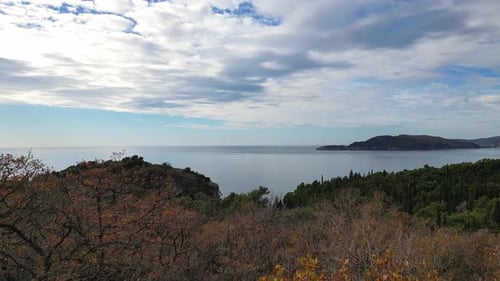 A Drone Flies Over the Trees Showing a View of the Sea Sea Horizon and Clouds