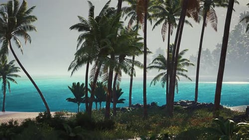 Tranquil Tropical Beach with Palms and Turquoise Water During the Day